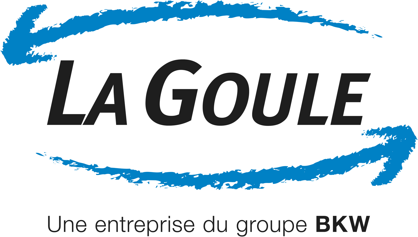 Société des forces électriques de la Goule SA, La Goule